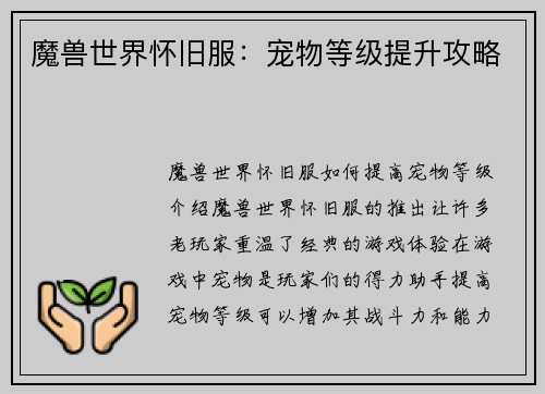 魔兽世界怀旧服：宠物等级提升攻略